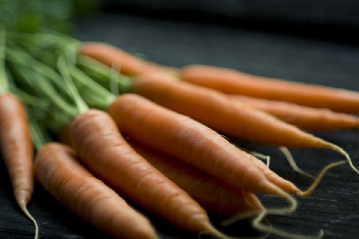 Bio-Karotten vom Biohof Mühl